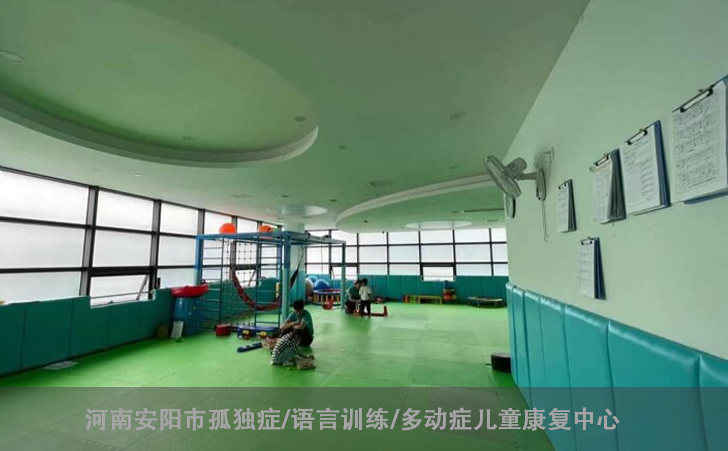 河南安阳市孤独症/语言训练/多动症儿童康复中心