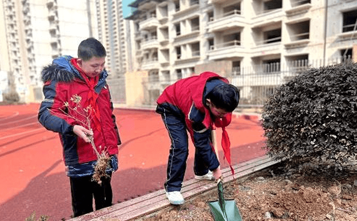 新建区特殊教育学校开展植树节活动