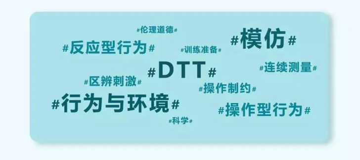 自闭症结构化教学三个原则