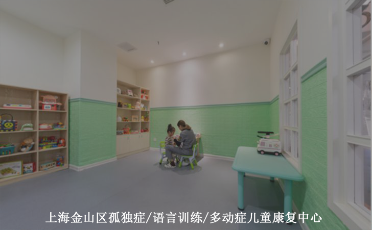上海金山区孤独症/语言训练/多动症儿童康复中心