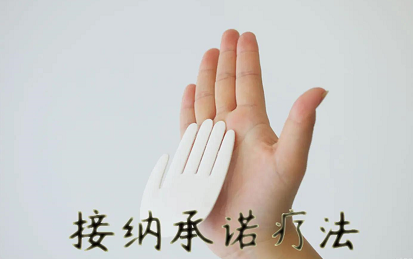 接纳与承诺疗法 接纳与承诺疗法