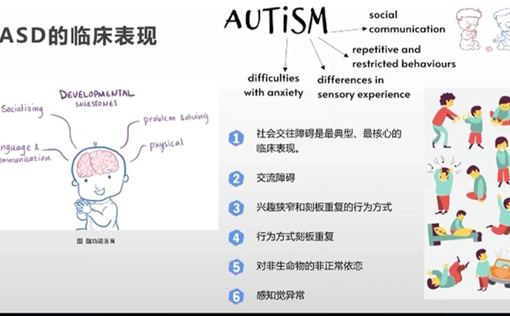 自闭症(ASD)的临床表现 自闭症(ASD)的临床表现