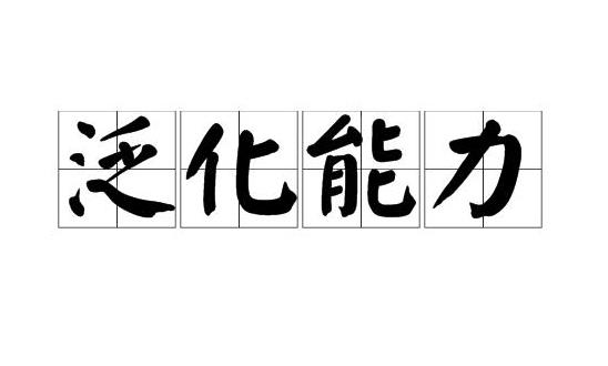 泛化能力