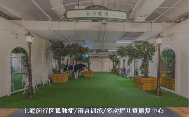 上海闵行区孤独症/语言训练/多动症儿童康复中心