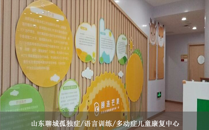 山东聊城孤独症/语言训练/多动症儿童康复中心