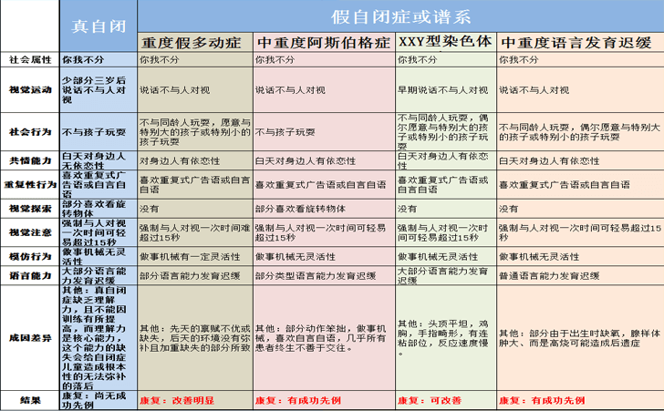 自闭症 自闭症