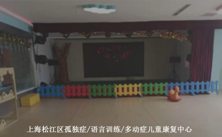 上海松江区孤独症/语言训练/多动症儿童康复中心