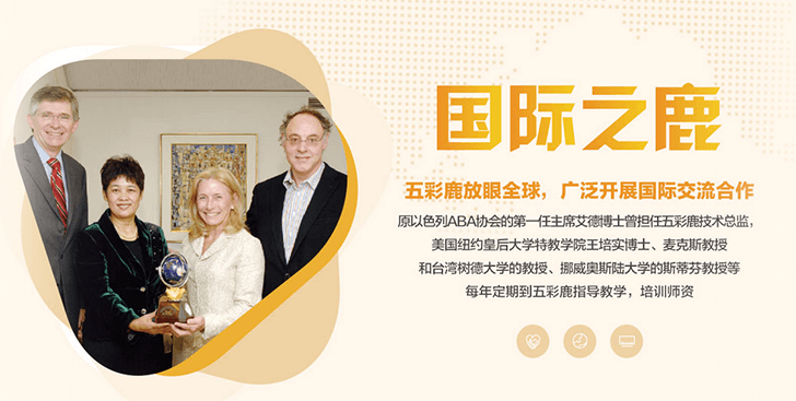 五彩鹿国际化