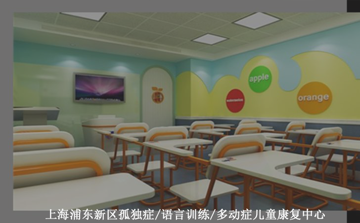  上海浦东新区孤独症/语言训练/多动症儿童康复中心