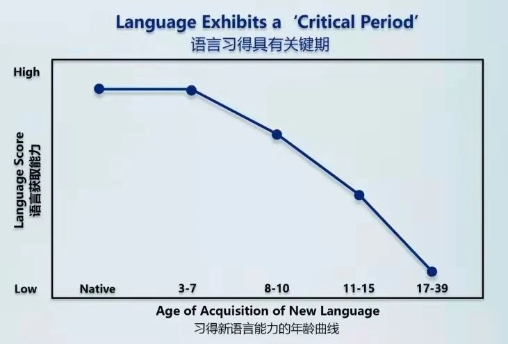 2007-12-2018百度学术语言学习者的年龄因素与语言习得