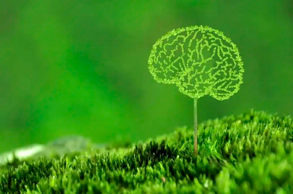 矫正自闭症孩子不合作行为的实验 矫正自闭症孩子不合作行为的实验
