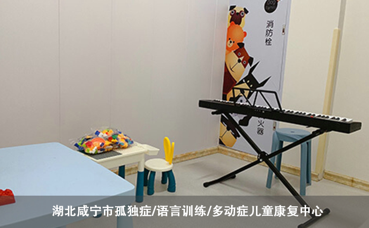 湖北咸宁市孤独症/语言训练/多动症儿童康复中心 湖北咸宁市孤独症/语言训练/多动症儿童康复中心
