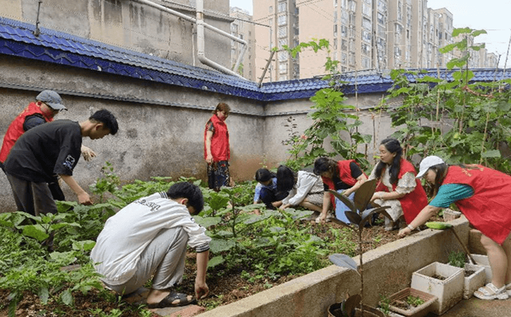 邵阳市特殊教育学校组织采摘,除草服务