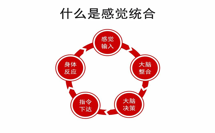 自闭症感觉统合