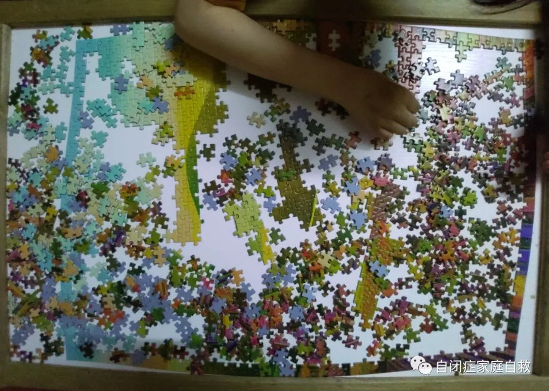 自闭症孩子小范围内的视觉搜索能力 自闭症孩子小范围内的视觉搜索能力