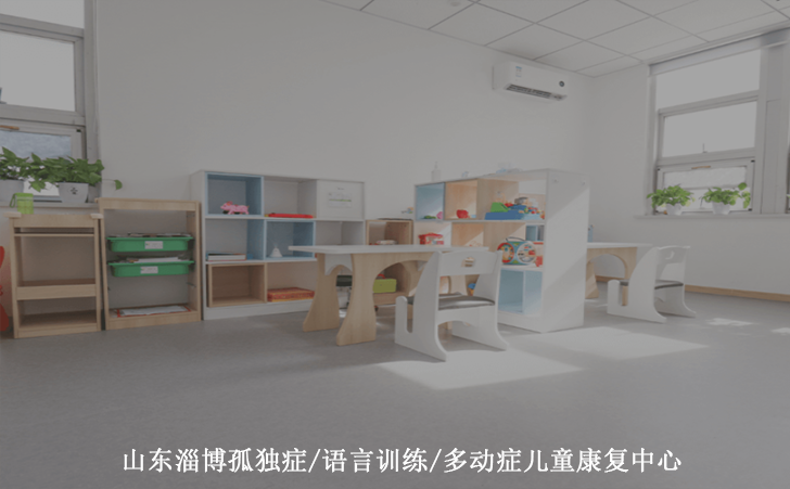 山东淄博孤独症/语言训练/多动症儿童康复中心