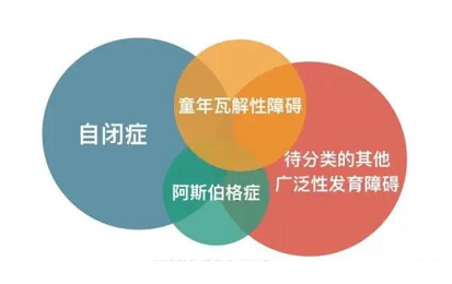 自闭症谱系障碍 自闭症谱系障碍