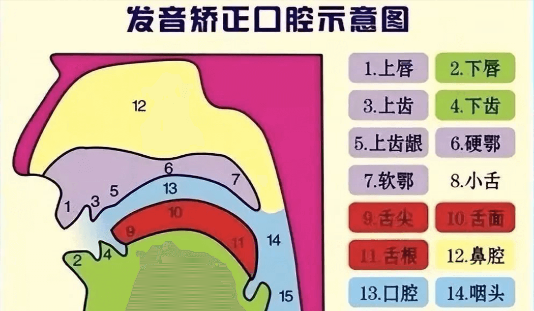 自闭症孩子构音训练方法