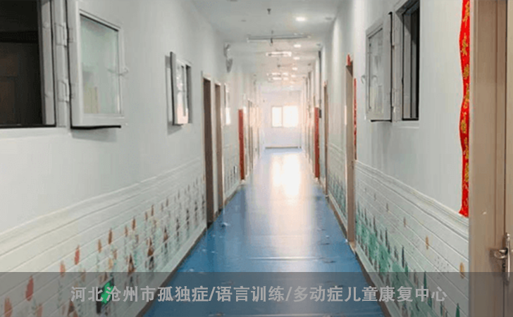 河北沧州市孤独症/语言训练/多动症儿童康复中心