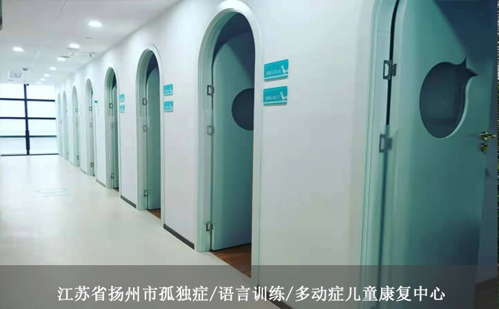 江苏省扬州市孤独症/语言训练/多动症儿童康复中心