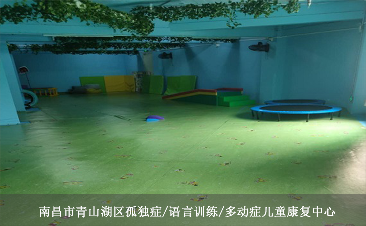 南昌市青山湖区孤独症/语言训练/多动症儿童康复中心