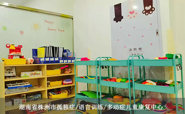 湖南省株洲市孤独症/语言训练/多动症儿童康复中心