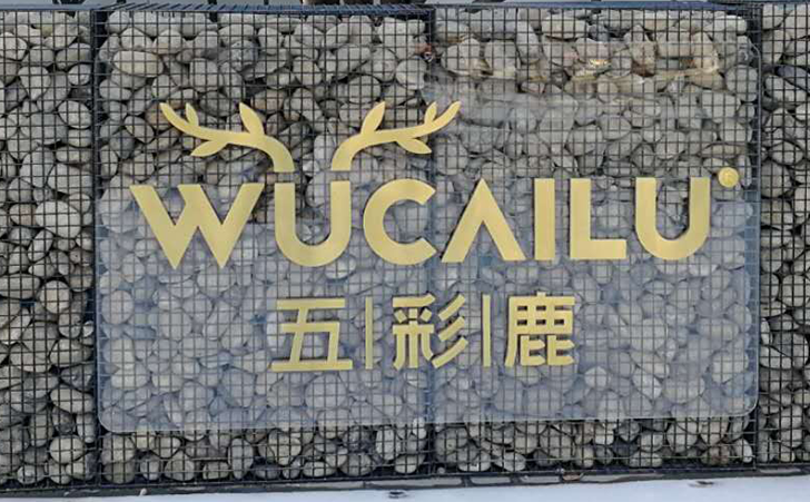 五彩鹿儿童行为矫正中心成立