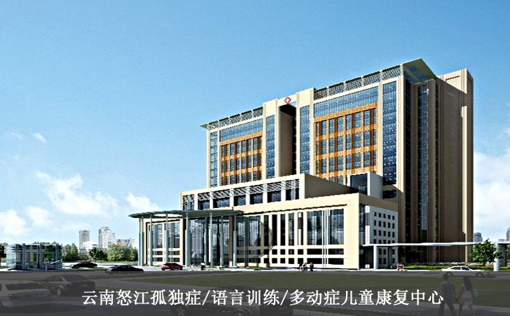云南怒江孤独症/语言训练/多动症儿童康复中心