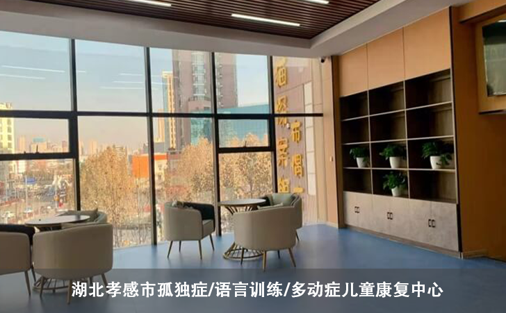 湖北孝感市孤独症/语言训练/多动症儿童康复中心