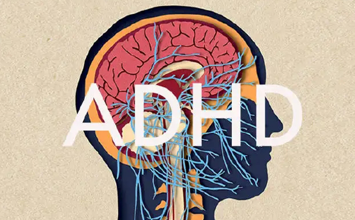 男女ADHD发生率的差异
