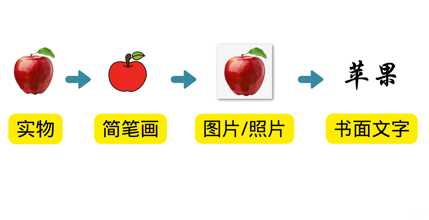 实物—简笔画—照片/图片—书面文字 实物—简笔画—照片/图片—书面文字