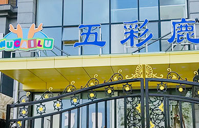 北京房山区五彩鹿