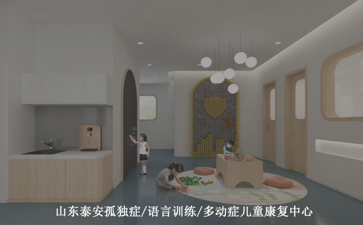 山东泰安孤独症/语言训练/多动症儿童康复中心
