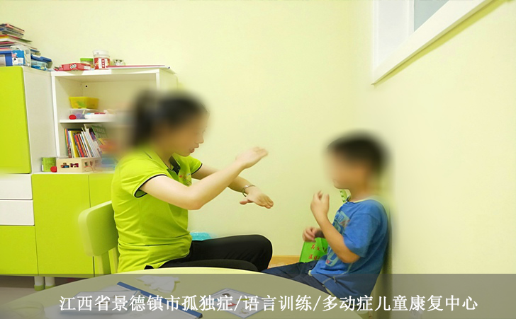 江西省景德镇市孤独症/语言训练/多动症儿童康复中心