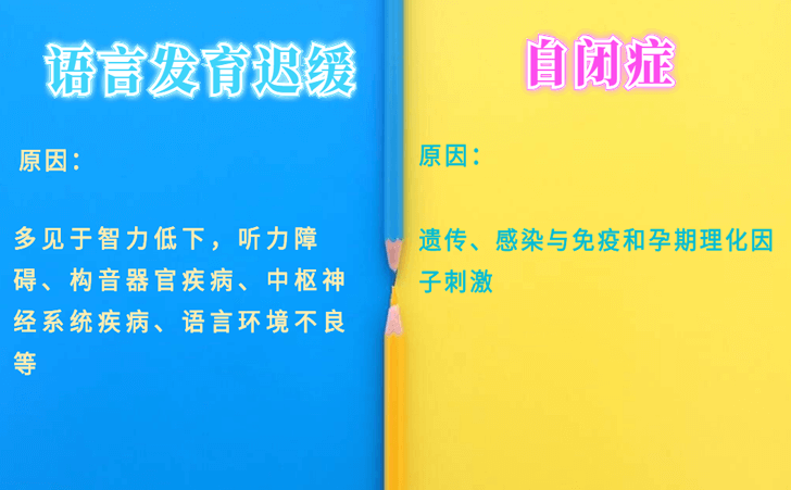 自闭症 自闭症