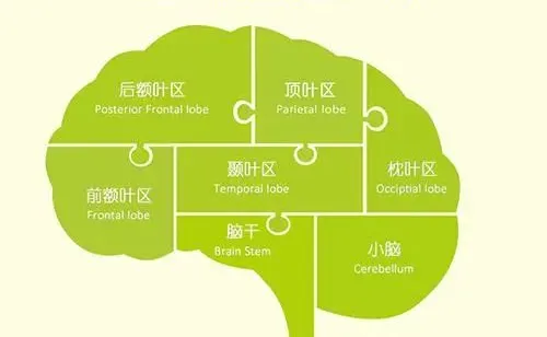 多动症儿童进行感觉统合治疗目的与器材 多动症儿童进行感觉统合治疗目的与器材