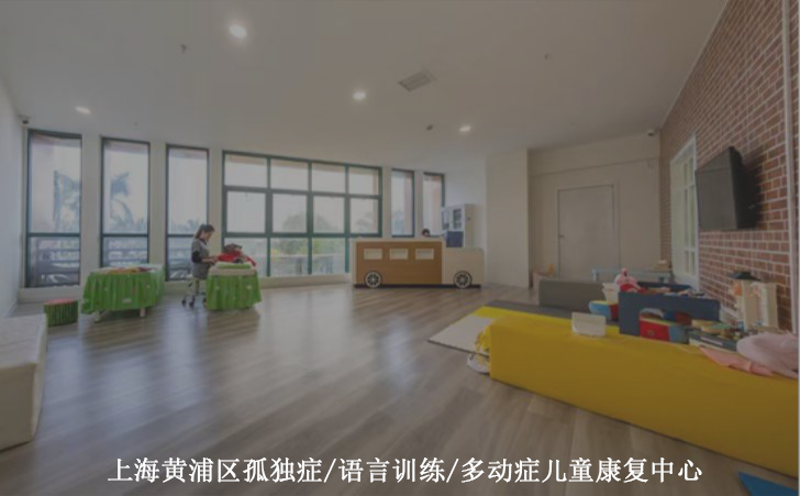 上海黄浦区孤独症/语言训练/多动症儿童康复中心