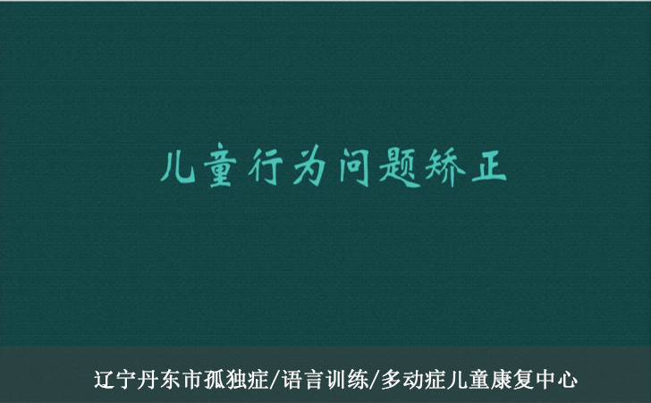辽宁丹东市孤独症/语言训练/多动症儿童康复中心