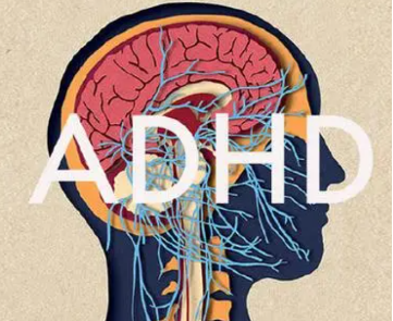 ADHD的典型症状是什么？