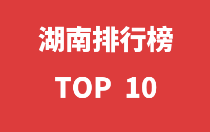 2022年12月31日湖南儿童康复中心十大品牌热度排行数据