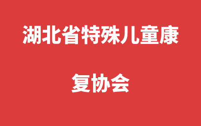 湖北省特殊儿童康复协会_武汉洪山区自闭症儿童康复/语言训练怎么样?