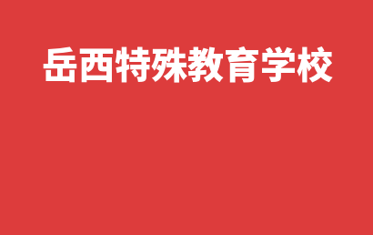 岳西特殊教育学校_安庆岳西县自闭症儿童康复/语言训练排名情况?