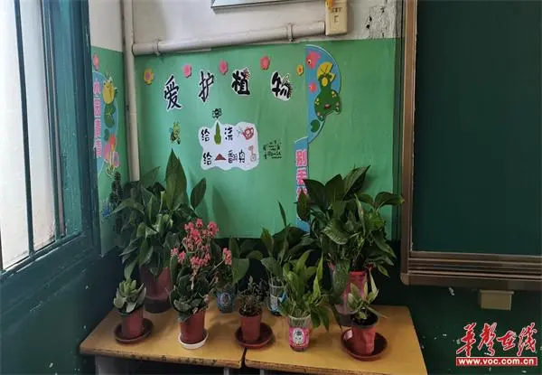 桂阳县特殊教育学校开展“美丽教室、温馨寝室”评比活动