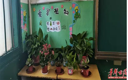 桂阳县特殊教育学校开展“美丽教室、温馨寝室”评比活动