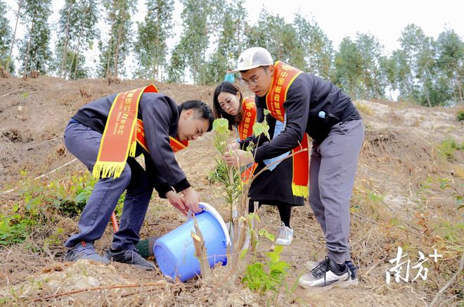 邮储银行梅州市分行志愿者与孤独症儿童参加植树志愿活动