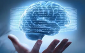12.2 脑科学日报|-Nature Neuroscience：单细胞质谱流式揭示体感系统的发育
