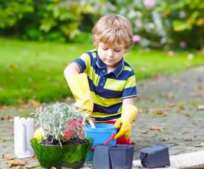 什么是园艺疗法对自闭症治疗的功能？