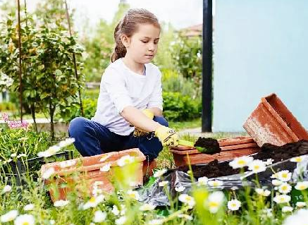 园艺疗法对自闭症儿童精神方面有什么改善？