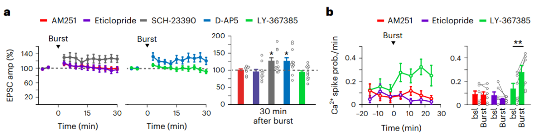 bLTP的产生需要eCB和DA信号与mGluR1激活相结合