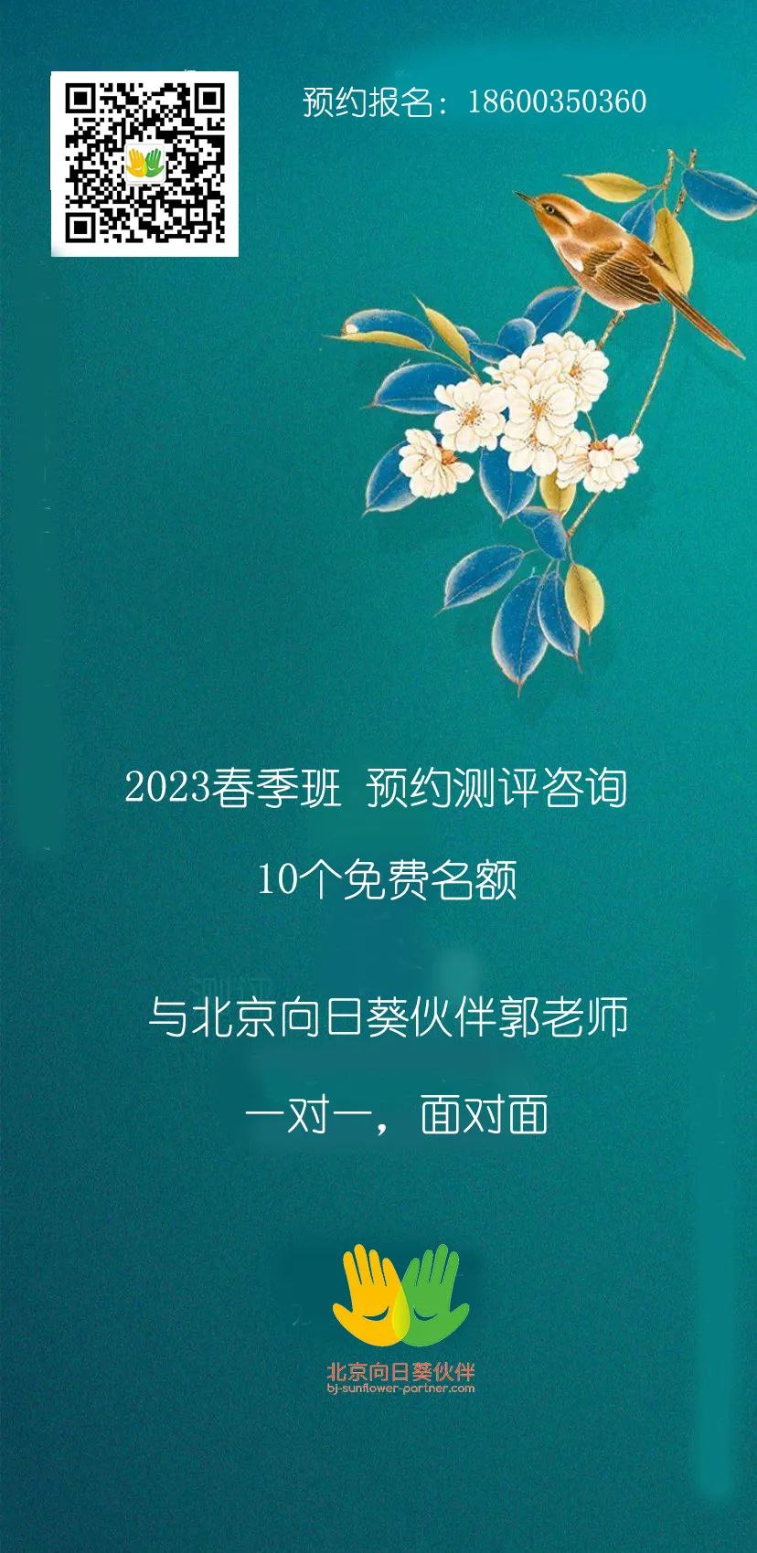 北京向日葵伙伴2023春季班预约测评免费咨询